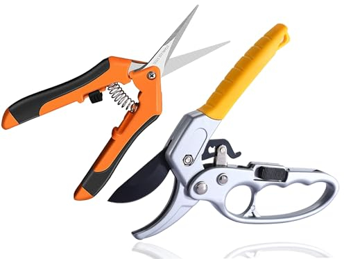 Lot de 2 sécateurs de jardin polyvalents à cliquet, sécateur avec interrupteur marche/arrêt du cliquet + sécateur à roses, sécateur à enclume, branches ligneuses, épaisseur de coupe jusqu'à 24 mm