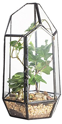 NCYP 22cm Height Geometric Plant Terrarium with Door, Irregular Glass Planter for Succulents, Modern Tabletop Decor Clear Glass Flower Pot, Miniature Fairy Garden, Handmade (No Plants Included)