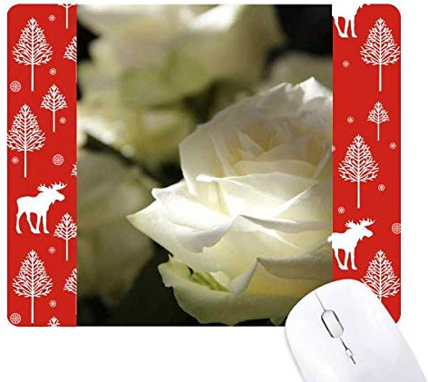 rose blanche sombre grande taille la souris noël woods - forêt