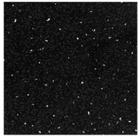 12 PVC Bathroom Cladding Shower Wall Panels White Black Grey Sparkle & Marble Colours (Black Sparkle 12 Pack)