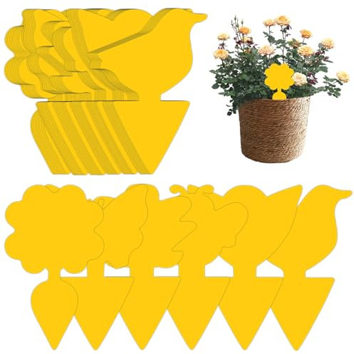 Fruit Fly Traps 60 Pcs, Fly Paper Indoor, Sticky Fly Trap, Fruit Fly Catcher Yellow Double-Sided Fungus, Gnats Killer Indoor Plants for Indoor and Outdoor Plant Fly Multiple Pests Control - Waterproof