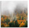 Paul Sinus Wandbild 80x80cm – Mystischer Herbstwald im Nebel