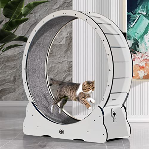 CanadianCat Company | Katzenlaufrad aus Holz - CatInMotion - Spiel- & Traininggerät für Katzen | Bausatz Weiß - L Ø100cm | 110 x 36,5 x 115 cm