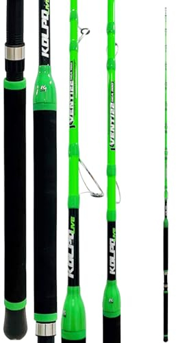 kolpo venti22 canna da pesca per mulinello elettrico 2 mt 300 gr canna per bolentino di profondità