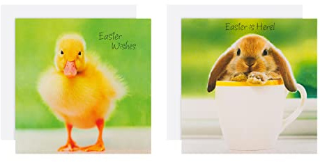 Hallmark Easter Card Multipack, Pack of 10 Easter Cards, Baby Chicks & Rabbit Design, Cute Easter Cards, Green, Yellow, White