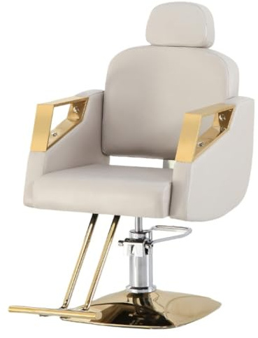 Silla de barbero reclinable para salón de Belleza Sillas de barbero giratorias de 360 Grados Estilista de peluquería Silla de salón de Tatuajes Equipo de Peinado,Light Gray,Square Disk