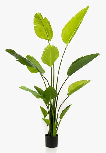 artplants.de Strelitzia konstgjord BEDAR, grön, 150 cm