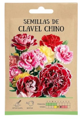 Clavel Chino para Jardinería Doméstica – Semillas de Clavel Chino para Macetas, Jardines y Espacios Soleados | DECOALIVE