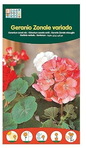 Semillas de Geranio Flores para Terraza y Jardín Semillas Vivas