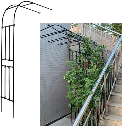 Treillis en arc demi-face pour plantes grimpantes, pergola, tonnelle, décoration pour jardin, pelouse et terrasse contre le mur, noir, 240 x 240 x 40 cm