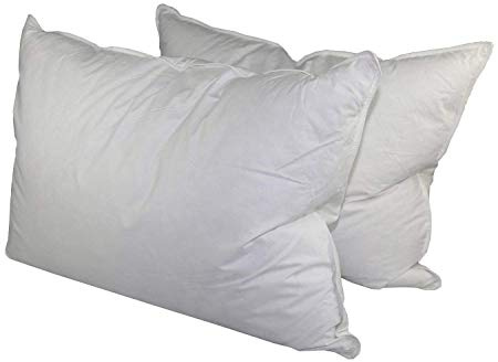 Down Dreams Classic King Pillow Set of 2