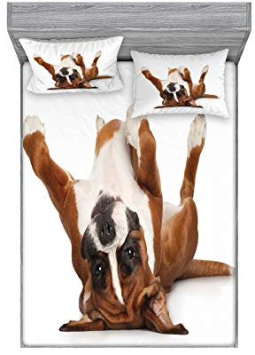 ABAKUHAUS Boxer-Hund Buntes Spannbetttuch- und Kissen-Set, Lustige Playful Puppy Bild, Dekoratives und Bedrucktes 3-teiliges Bettwäscheset, 150 cm x 200 cm, Pale Caramel Dunkelbraun