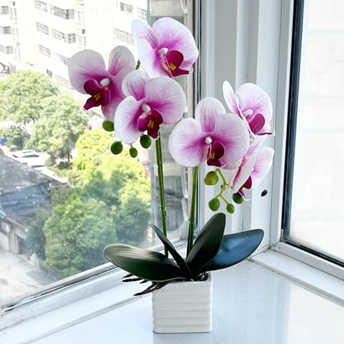 LZTDRZH Artificial Orchids for Home Decor Indoor with Vase Orchids Artificial Flowers White Purple Orchid Height 14 Inches