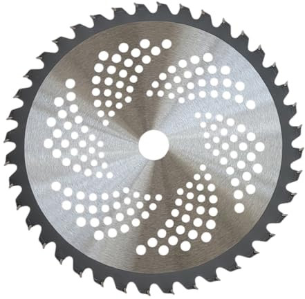 FAST WORLD SHOPPING Disco para desbrozadora, cortacésped, segadora, diámetro 255 mm, 40 dientes Widia, orificio diámetro 25,4 mm, cortador y sierra circular de jardinería 10 pulgadas