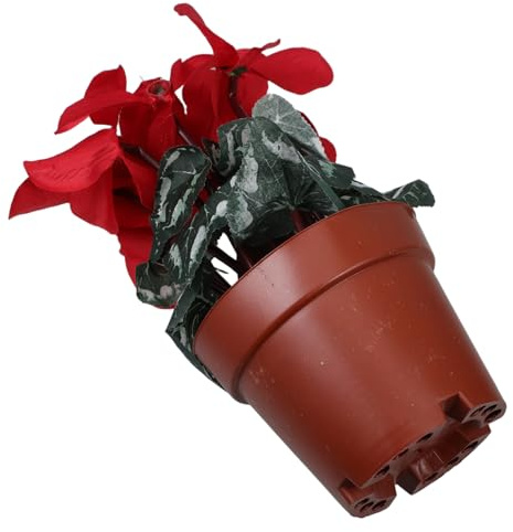 BESTYASH Künstliche Alpenveilchen Blume Im Topf Lebensechte Emulation Grün Dekoration Pflegeleicht Für Wohnzimmer Büro Schlafzimmer