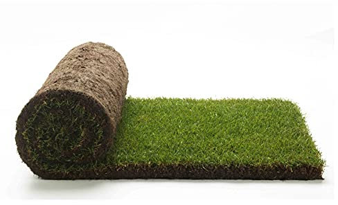 Vraie pelouse herbe 1 m² prêtes à rouleaux de 1 ^ choix en herbe naturelle (2 rouleaux)