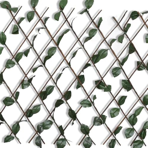 Nqyjm Panneaux de Clôture Décorative Clôture en Treillis de Saule 5 pièce 180x90 cm, Barrière pour Animaux pour Extérieur, Cour, Terrasse, Jardin