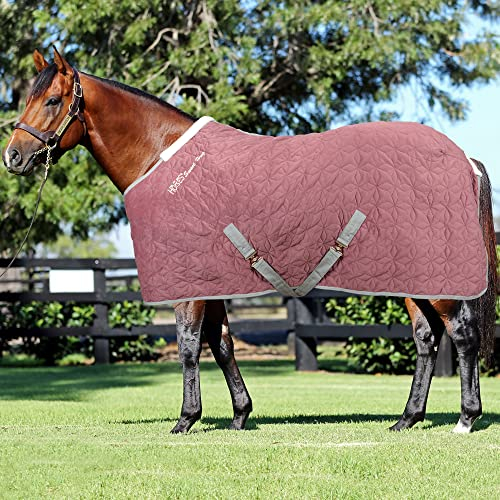 Horses Quazar Velvet 160 g Rosa 162 cm, hervorragende Verarbeitung, nützlich zum Schutz des Pferdes vor Temperatursprüngen