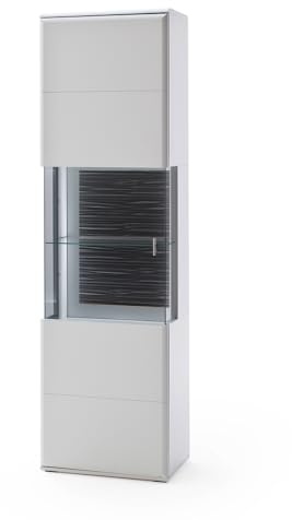 Lomadox Vitrine Vitrinenschrank Schrank Standvitrine Wohnzimmer weiß matt 60 cm montierte Lieferung