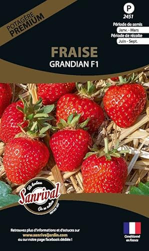 Graines potagères Premium Fraise Grandian