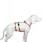 Hoffmann No Exit ausbruchsicheres Hundegeschirr für Angsthund, Sicherheitsgeschirr für Pflegehunde, Panikgeschirr, beige mit braunen Pfötchen, Bauchumfang 40-60 cm, 15 mm Bandbreite