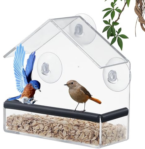 Shudyear Window Bird Feeder, Bird House for Outside with Rubber pad, Small Acrylic Window Bird Feeder with Strong Suction Cups and Drain Holes 6.2 * 2.4 * 6.2 in