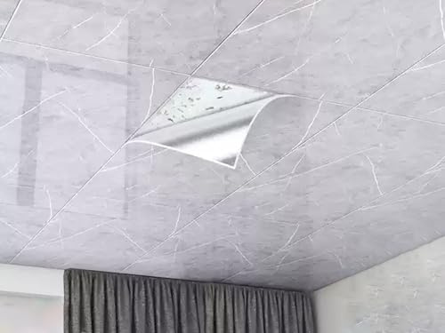 Paneles de techo de PVC para baño y ducha, revestimiento de pared impermeable para ocultar paredes dañadas, ideal para renovación del hogar y la oficina