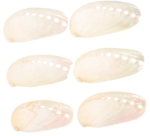 Happyyami 6 Pièces Artisanat de Coquillages de Mariage sur la Plage Coquille dormeau Coquille daménagement paysager décor Ornement d'ormeau Maison s d'aquarium