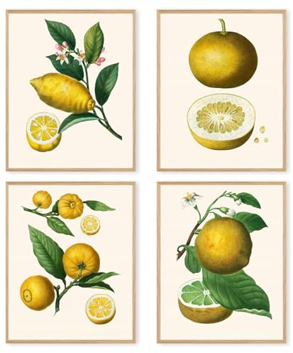 dzxnouart Set di 4 stampe artistiche da parete motivazionali con limone, poster botanico con frutta e agrumi gialli, arte da parete per cucina e ufficio, senza cornice (50 x 75 cm)