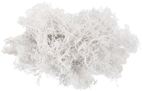 PATIKIL 7 OZ Fake Moss, Preserved Reindeer Decorative Artificial Faux Moss with Box for Indoor Potted Plants Flowerbeds Crafts Home Office Artistic Decoration, White