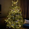 Qbis 800 LED Christmas Lights, Warm White Lights on Green Wire. 1 in 10 Random Twinkling Fairy Lights. Christmas Tree Lights, Indoor or Outdoor use (Warm White (800 LED on Green Wire))