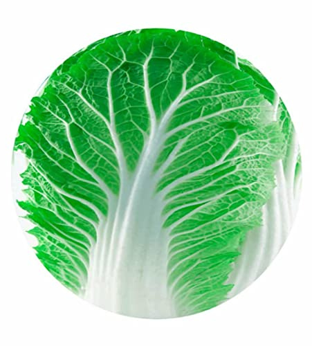 Manta de forro polar de franela de lechuga, divertida manta de alimentos, manta calmante sensorial para un gran sueño, manta ligera súper suave para el hogar, cama, sofá