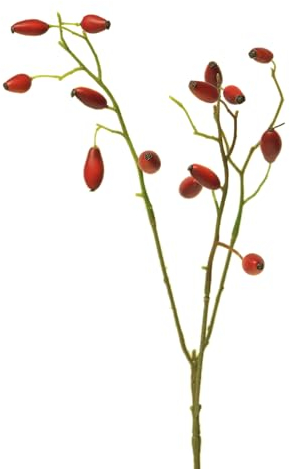 mucplants Künstlicher Hagebutten Zweig Rosehip Kunstpflanze Rot ca. 46 cm Stecker AST Dekoast