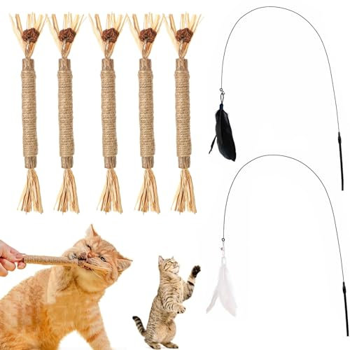 YanBous 5er Set Katzenkausticks & 2 Spielangeln - Zahnpflege & Spaß, Natürliche Zahnreinigungsstäbchen gegen Mundgeruch, Interaktives Spielzeug, fördert die Gesundheit der Katze