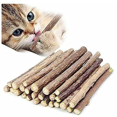 GadgetcKing 40 Pack Cat Nip Sticks Dried Silvervine Natural Wood Play Dental Chew Toy Teeth Clean Chewing Grinding Tetting Treat Treats Toothbrush Matatabi Kitten