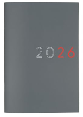 Finocam - Planificador Agenda Mes Vista 2026 Mes Vista Enero 2026 - Diciembre 2026 (12 meses) Gris Internacional