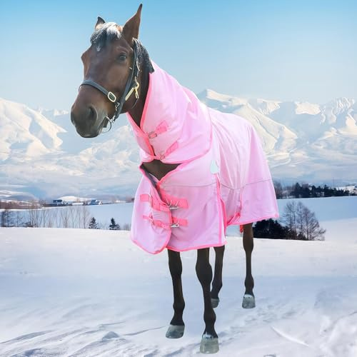 SHAIRMB 2026 Upgrade 1680d Coperta Invernale per Cavalli, Impermeabile, Coperta Impermeabile di Peso Medio con Copricollo Staccabile, Imbottitura in Poliestere da 400 Grammi,Rosa,EU 145 cm