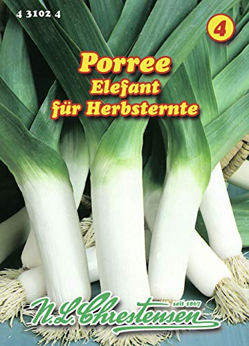 N.L. Chrestensen 431024 Porree Elefant (Porreesamen)
