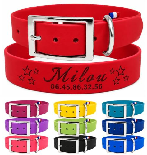 Collier Chien personnalisé en Biothane - Fait Main en France - TDOG (Rouge)