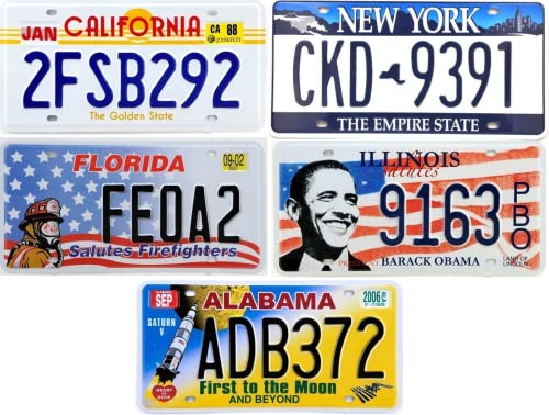 OPO 10 - Satz von 5 US-amerikanischen Autokennzeichen aus Metall - Nachbildungen echter amerikanischer Kennzeichen - Fabbri LF18