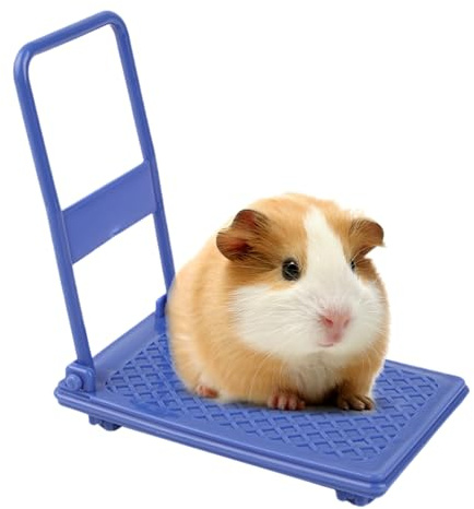 Sulxyi Jouet pour Hamster | Jouet interactif pour lit Chariot – Fournitures pour Hamster | pour rongeurs, Petits Animaux, Cage de Jeu à Domicile