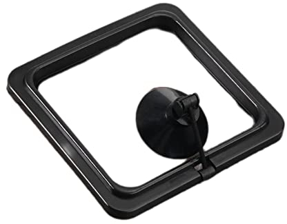 Fisch Fütterung Ring mit Saugnapf,Quadrat Schwimmender Futterring,Feeding Station für Goldfish und Andere Kleinere Fische