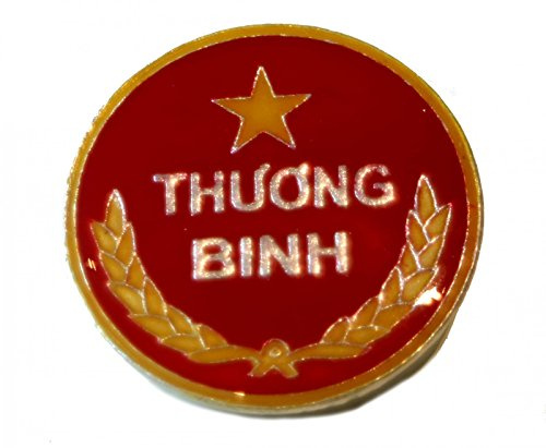 Terrapin Trading Selezione di medaglie e Spille di distintivi di Cappello dell'Esercito vietnamita del Vietnam - 10 Tipi