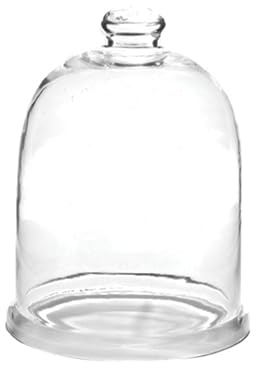Park Designs Glass Bell Cloche 9.5”H | Decorative Clear Glass Dome for Home Decor | Elegant Display Cloche for Candles, Plants, Desserts, or Seasonal Arrangements | Rustic Farmhouse Table Accent