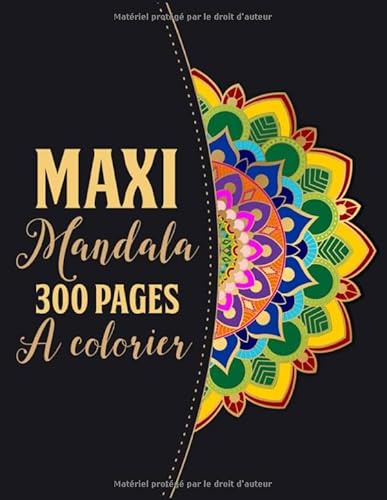 Maxi mandala 300 pages a colorier: Mandala adulte cahier 300 Pages 20cmx27cm | Livre coloriage adulte | Animaux, skull, art deco, tribal, etc | Cahier pour dessiner