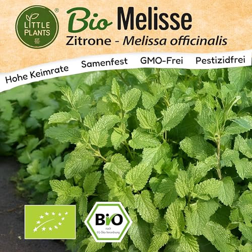 Little Plants BIO Melisse Samen 1000 Melissesamen Kräutersamen für Kräutergarten Hochbeet Samenfest Kräuter Samen für Küche, Balkon und Garten Küchenkräuter