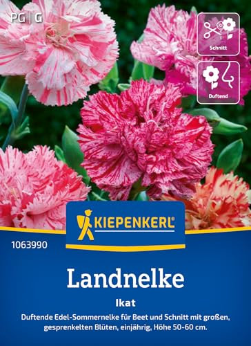 Kiepenkerl Landnelkensamen Ikat 1063990 - Für Beet und Schnitt - Große, gesprenkelte Blüten - Höhe 50-60 cm - Blumensamen, Blumenwiese Samen, Saatgut