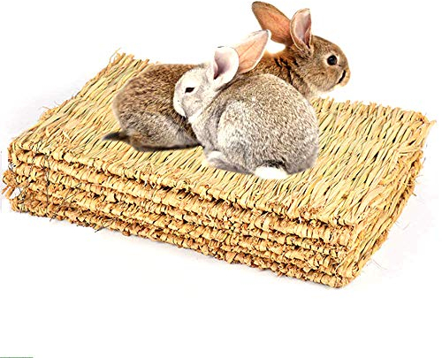 CAMITER 5 Stück Kleintier Grasmatten,Tier-Kauspielzeug, Kaninchen-Bett, Natürliche Handgewebte Grasmatte Sicher und Essbares für Hamster, Kaninchen, Papageien Meerschweinchen und Frettchen