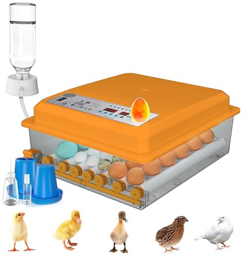 Umisu Incubadora de Huevos Automática 24-36 Huevos, Couveuse con Control de Temperatura, Rodillos Ajustables, Llenado de Agua Automático y Ovoscopio Integrado, Naranja