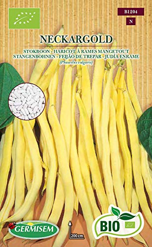 Germisem Bio Graines Haricot à rames mangetout Neckargold ECBIO1204 Multicolore